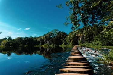 Imagen de proyecto realizada por José Silva